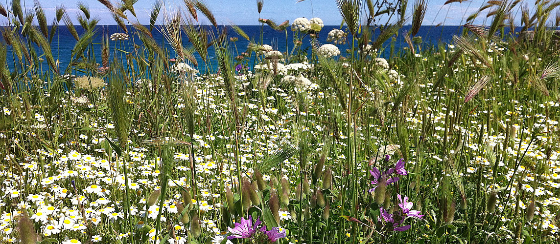 Maggio Low Cost Salento