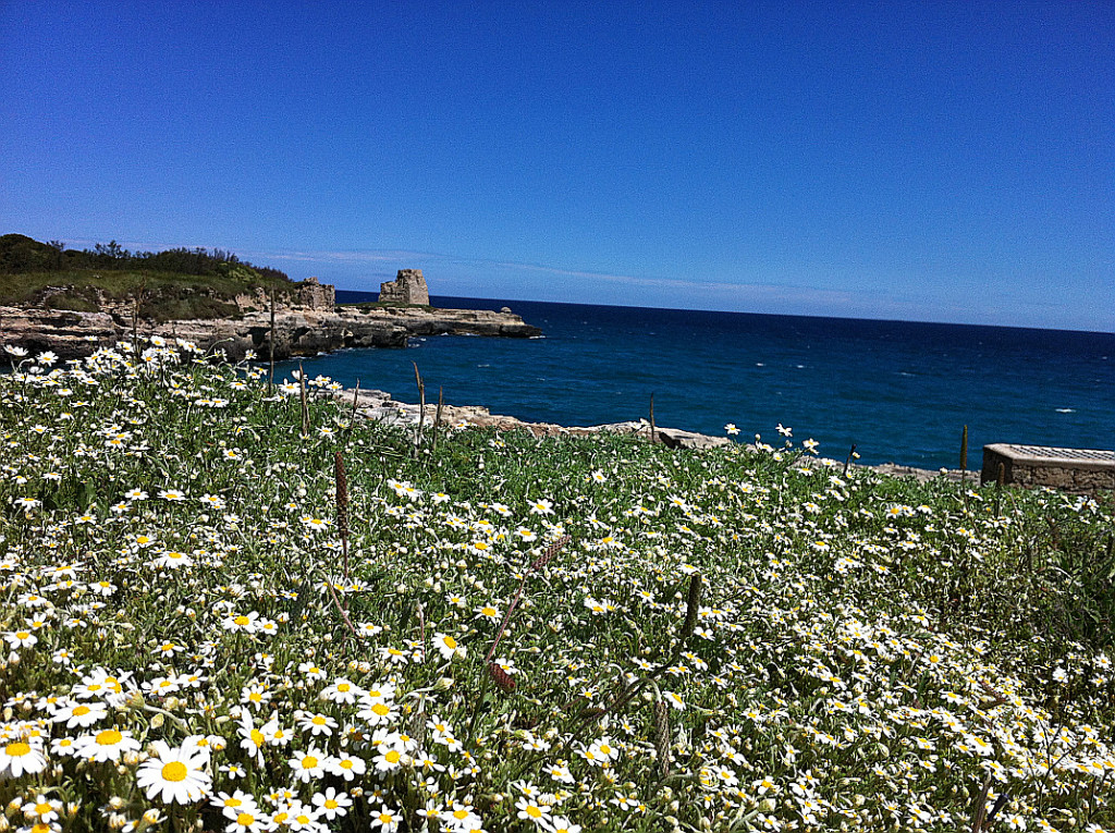 Maggio Low Cost Salento