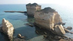 Scogliera Torre Sant'Andrea Lato Pineta