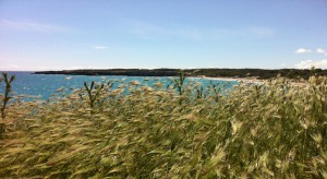 Baia Di Torre Dell'Orso