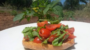 Frisella Pomodoro Rucola