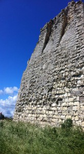 Torre di Avvistamento Torre Dell'Orsoo